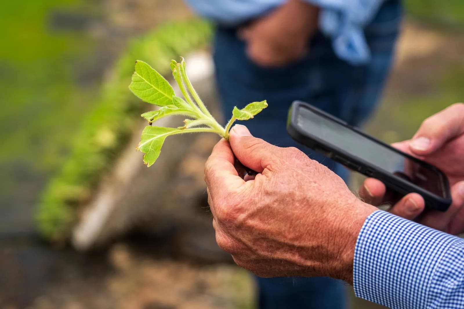 Two European AI startups secure pre-seed funding for data-focused tools