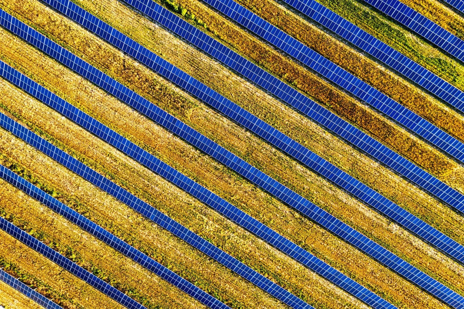 Solar Becomes Europe's Top Power Source, Supplying 25% of EU Electricity
